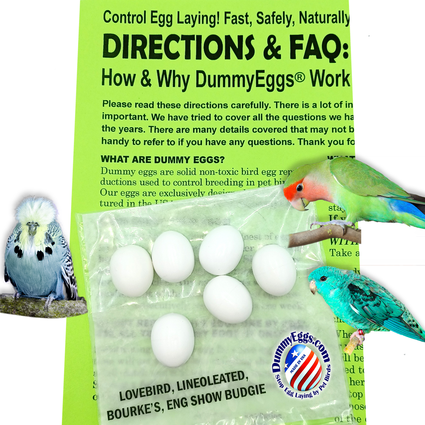 DummyEggs® for LOVEBIRD, LINEOLEATED & BOURKE'S, ENGLISH SHOW BUDGIES